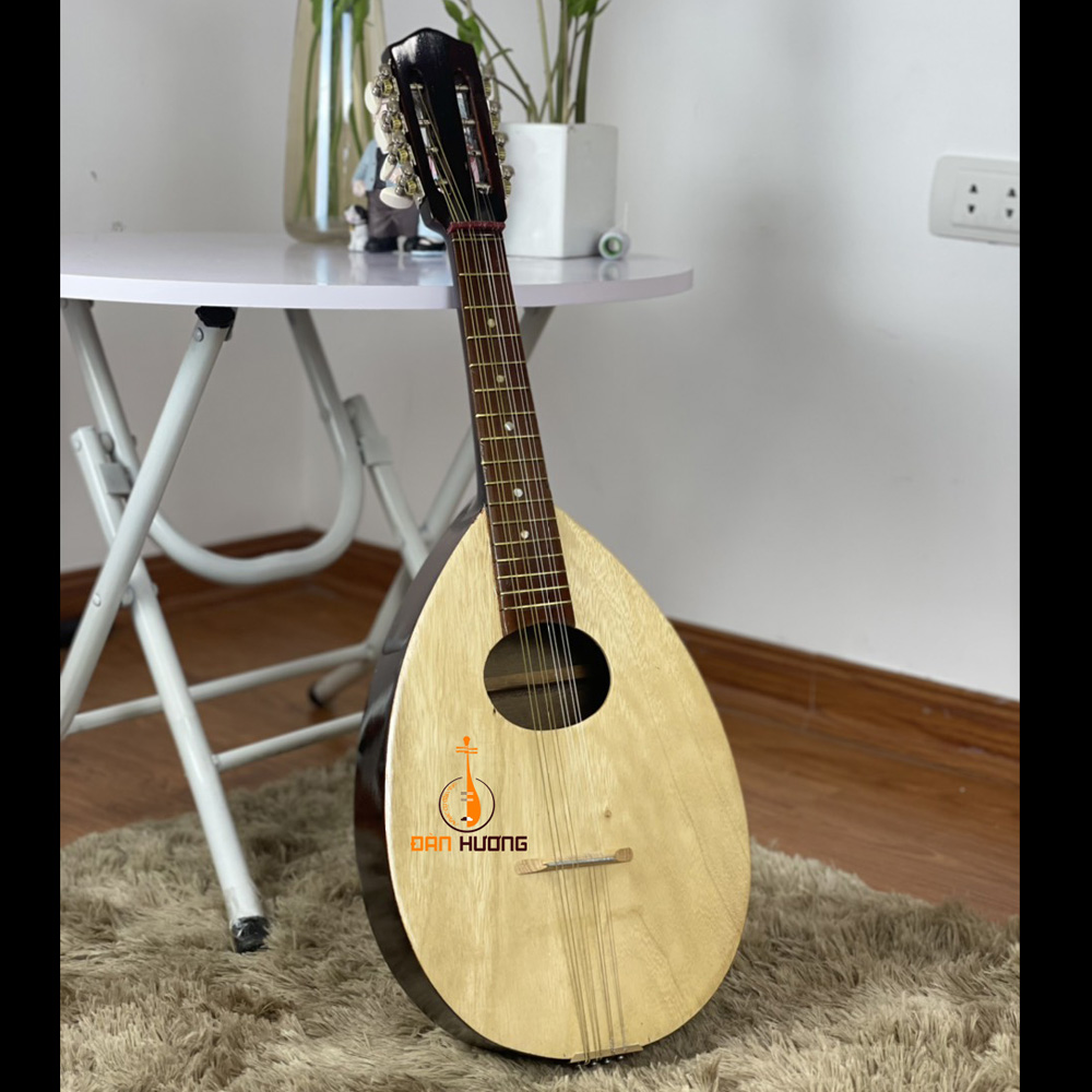 ĐÀN MANDOLIN