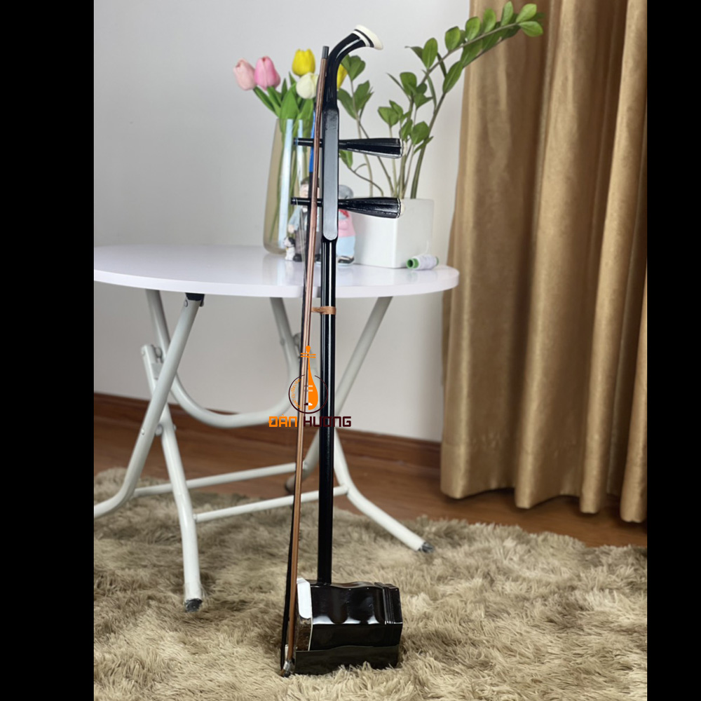 Top 5 cây đàn nhị được ưa chuộng nhất